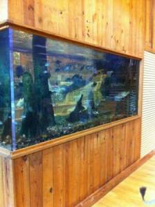 3Ic3Fa3Hc5La5Ne5Ked539f6c8c368c991ffd