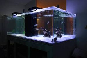 3K33Lf3J75L45O35E4d3b3ac9dcd29ea71d48