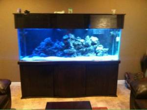 3Mc3J73Ne5Ic5L65Mdd3rc5d6622997a4152b