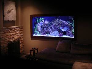 3Ee3K83Id5I45G55M7d5mdc43582913c21b7f