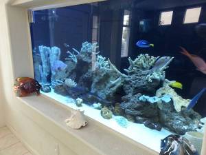 3Kc3Ga3J75Nf5La5J5d5v1730d04e3c701152