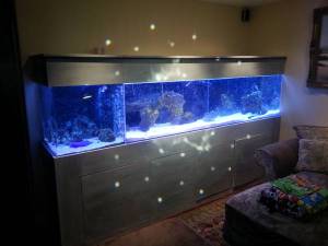 3t33K33qf5Fe5s25ted6m1f4ac1eb86471824