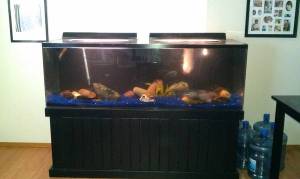 00202_g6t2xO6OXw7_600x450