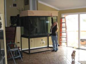 01111_3x9LtzGi2CK_600x450