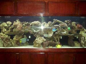 3K63s63Nd5N55Ec5J5d77f6586a5690ea1d47