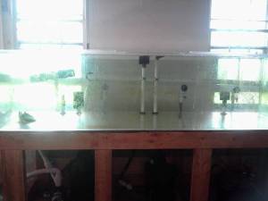 3M63sf3qf5Gd5F15q5d6jc23c2b8405431d18