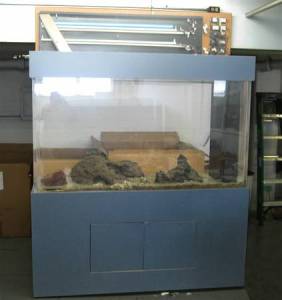 3r43L33Ib5I55Ke5F4d7c0e72c97396321b43