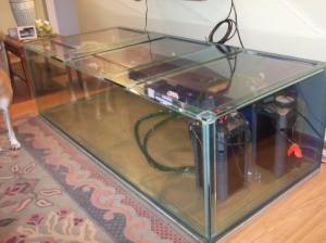 DSCF6493-1_zps4782f7df