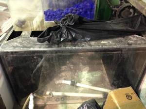 00707_9sq3kDHRYKm_600x450