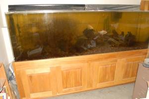 00D0D_aZjzv1Ev1Sj_600x450