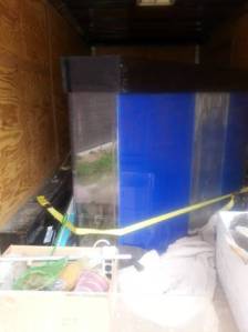 00T0T_mwcUlisDlR_600x450