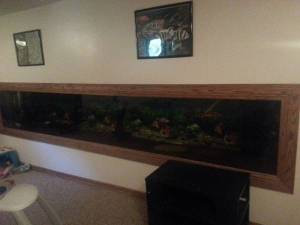 01313_gIZf4WsJhd1_600x450