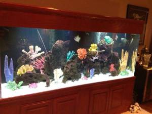 01717_7OZYv4mNeLp_600x450