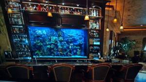 00000_gjMJ5Asw4tY_600x450