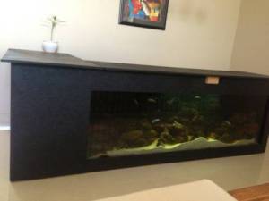 00B0B_iPiWNMC3COI_600x450