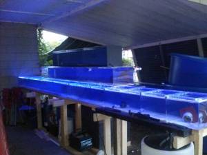 00e0e_60XoueQdT5T_600x450