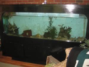 00E0E_8ldpTK3obAZ_600x450