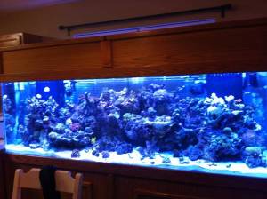 00H0H_j76tm9b2ro3_600x450