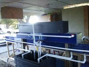 00h0h_kShePLcLASY_600x450