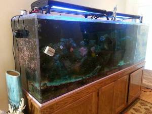 00z0z_7xmU0GvktDC_600x450