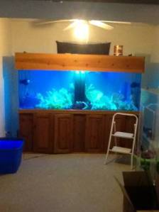 00Z0Z_goD5mE4GTfJ_600x450