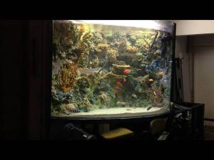 01010_16PNbztvR07_600x450