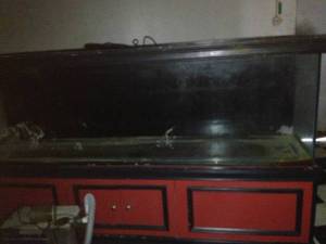 00000_cB61JizU7IX_600x450