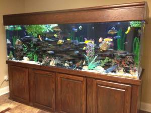 00202_cNKRS4DBjNi_600x450