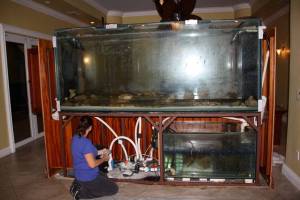 00e0e_dCD4jPJBNC0_600x450