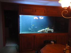 00L0L_dpDeMIQrREZ_600x450