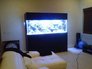 00R0R_26EunUeqaIB_600x450