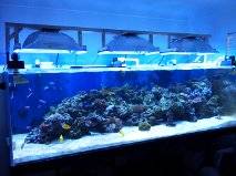 00v0v_aiu3xmgcH13_600x450