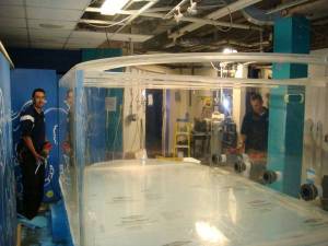 00z0z_fU1o9v6tMxa_600x450