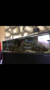 01313_73bDpgrDQEA_600x450