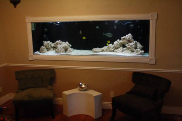 Reef Aquarium Set Up 500 gallon system! - $2500 (st. george Ut)