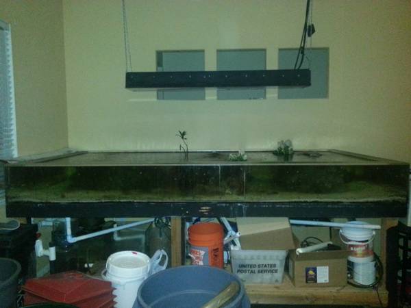 340gallon shallow reef acrylic tank setup - $1000 Ca.