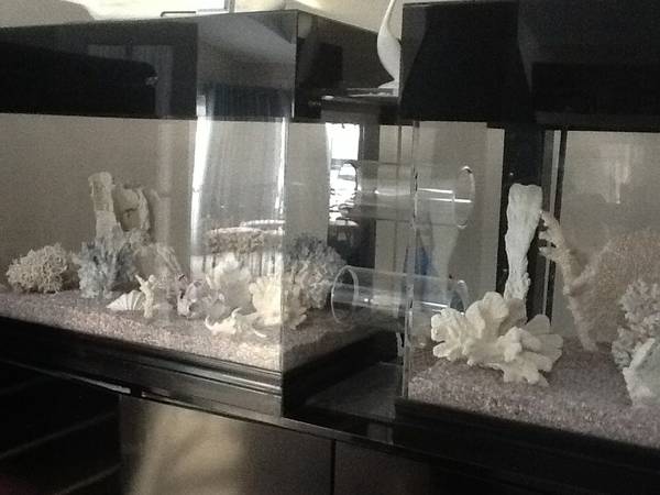 334gal. Unique extra large contemporary double aquarium - $1500 (Marysville, mi.) 