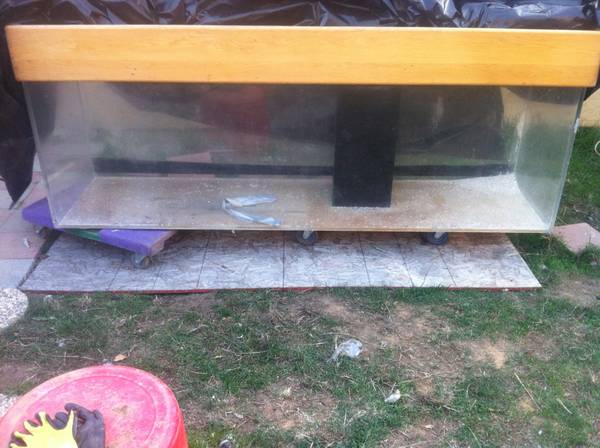 300 Gallon Fish// Reptile Tank - $1200 (gilroy,CA) 