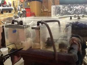 00B0B_8RKDLYqSwPE_600x450