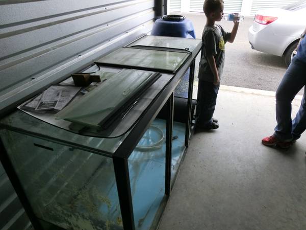 Aquarium 300 gal - $2800 (hampton, Virginia)