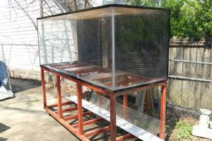 00g0g_dmsTCtNIe4X_600x450