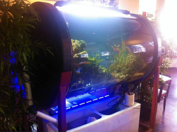380 Gallon Saltwater Aquarium - $3500 (New Orleans)
