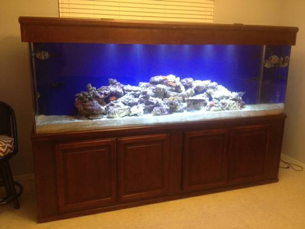 350 gal aquarium - $3500 Phoenix,AZ