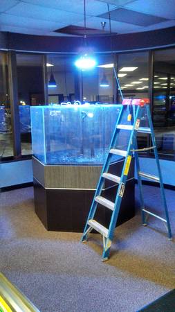 290g Acrylic Hex Aquarium - $1950 (Brookfield, WI)