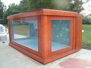 00P0P_4PxtrpR0l4T_600x450