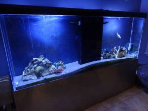 00q0q_7wzaJW4Ma6q_600x450