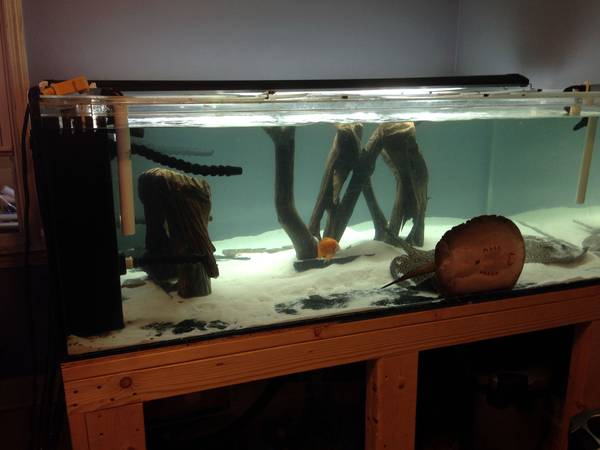360 Gallon Acrylic AQUARIUM REEF READY - $2770 (Rogers Park,IL)
