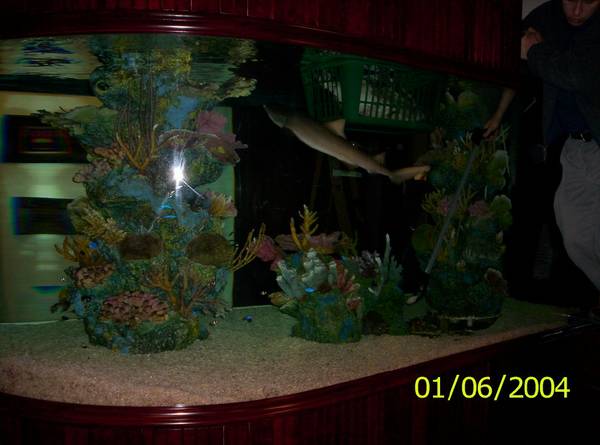 1800 gal shark aquarium - $25000 (beaverton,OR) 