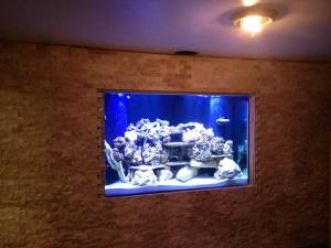 00Y0Y_WYMdaDzumW_600x450