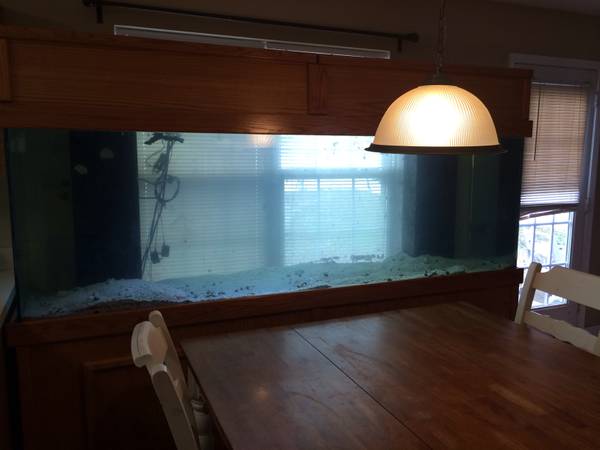 300gl aquarium - $1500 (Charlotte,NC )